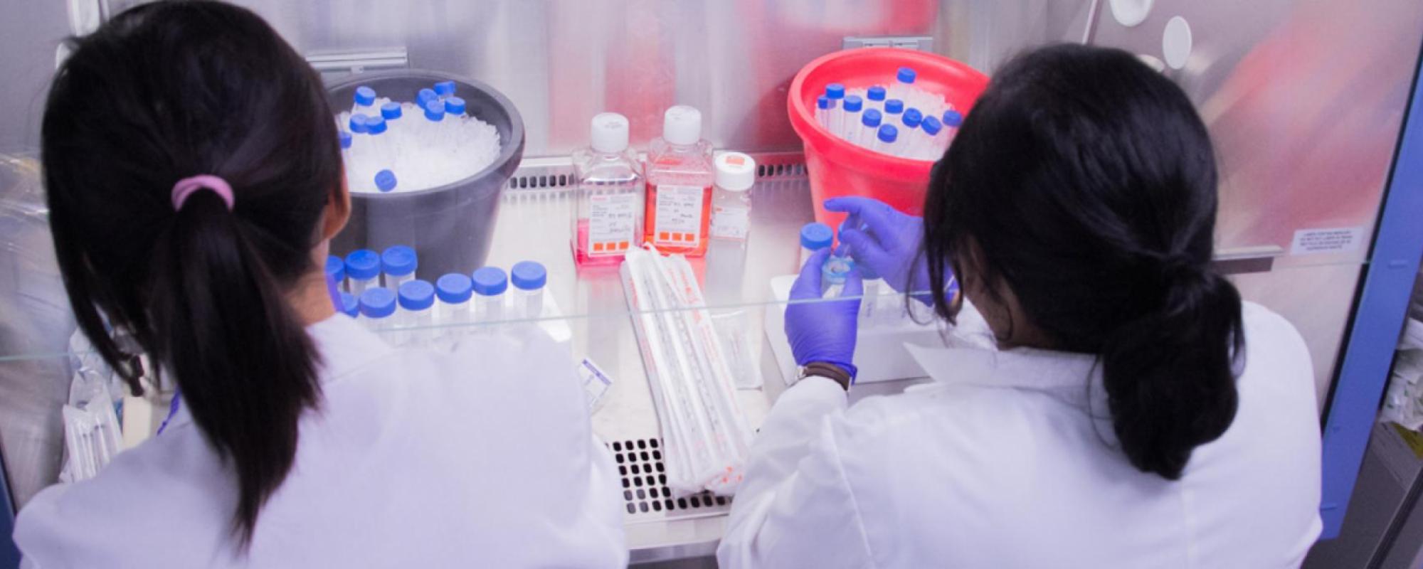 Cellular and Molecular Medicine - Dual Degree