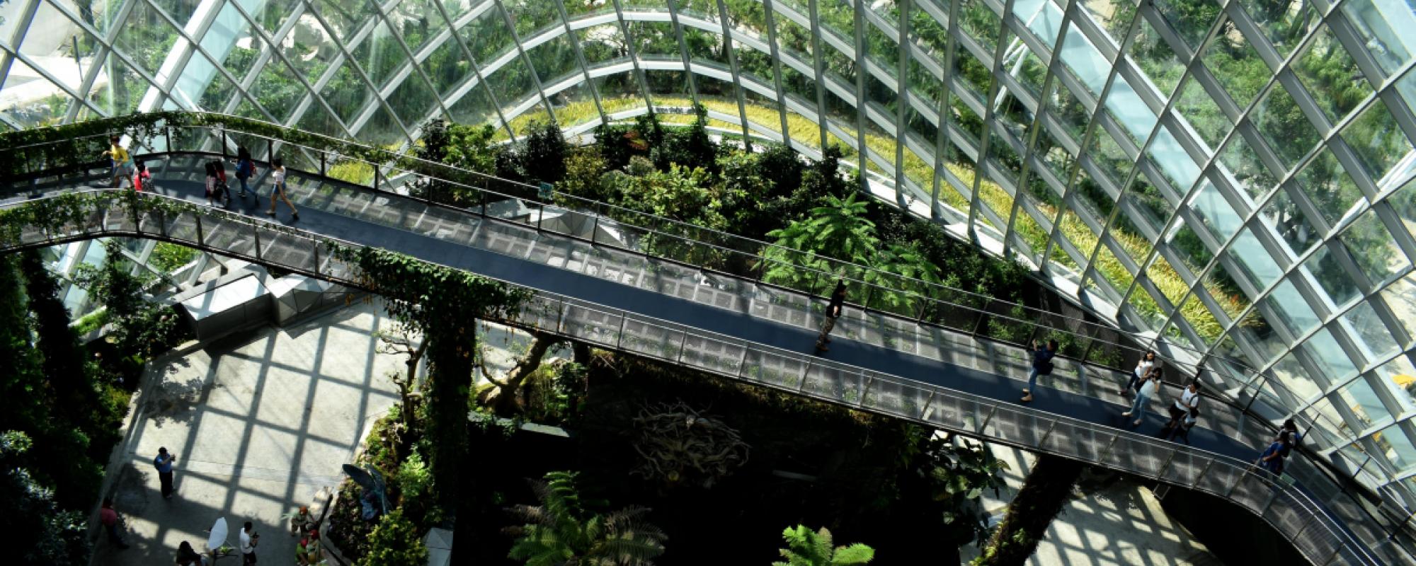 Sustainable Built Environments Dual Degree