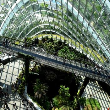 Sustainable Built Environments Dual Degree